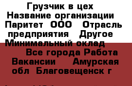 Грузчик в цех › Название организации ­ Паритет, ООО › Отрасль предприятия ­ Другое › Минимальный оклад ­ 23 000 - Все города Работа » Вакансии   . Амурская обл.,Благовещенск г.